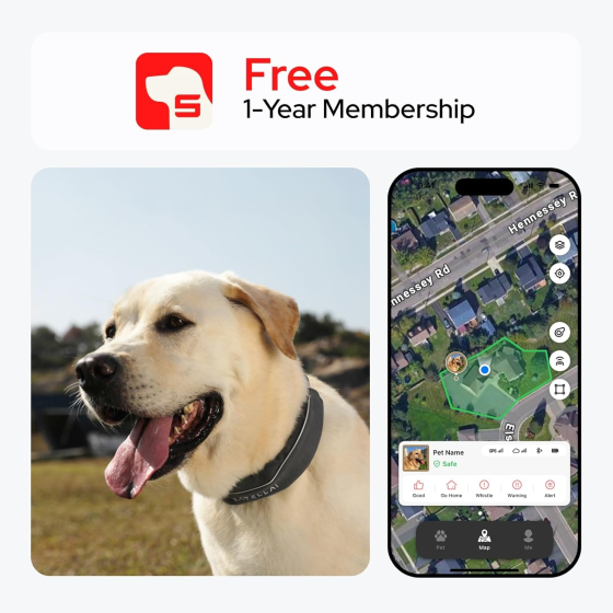 Dog Collar, the most advanced dog wireless fence with AI analysis, precise positioning, 5-day battery life and IP68 waterproof function, provides a flexible virtual fence for dogs